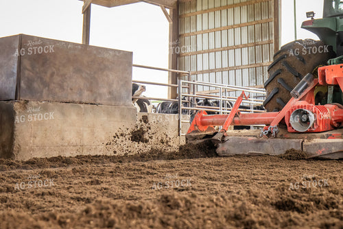 Laying Compost Bedding in Dairy Barn 270057