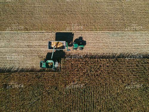 Overhead of Corn Harvest 4647