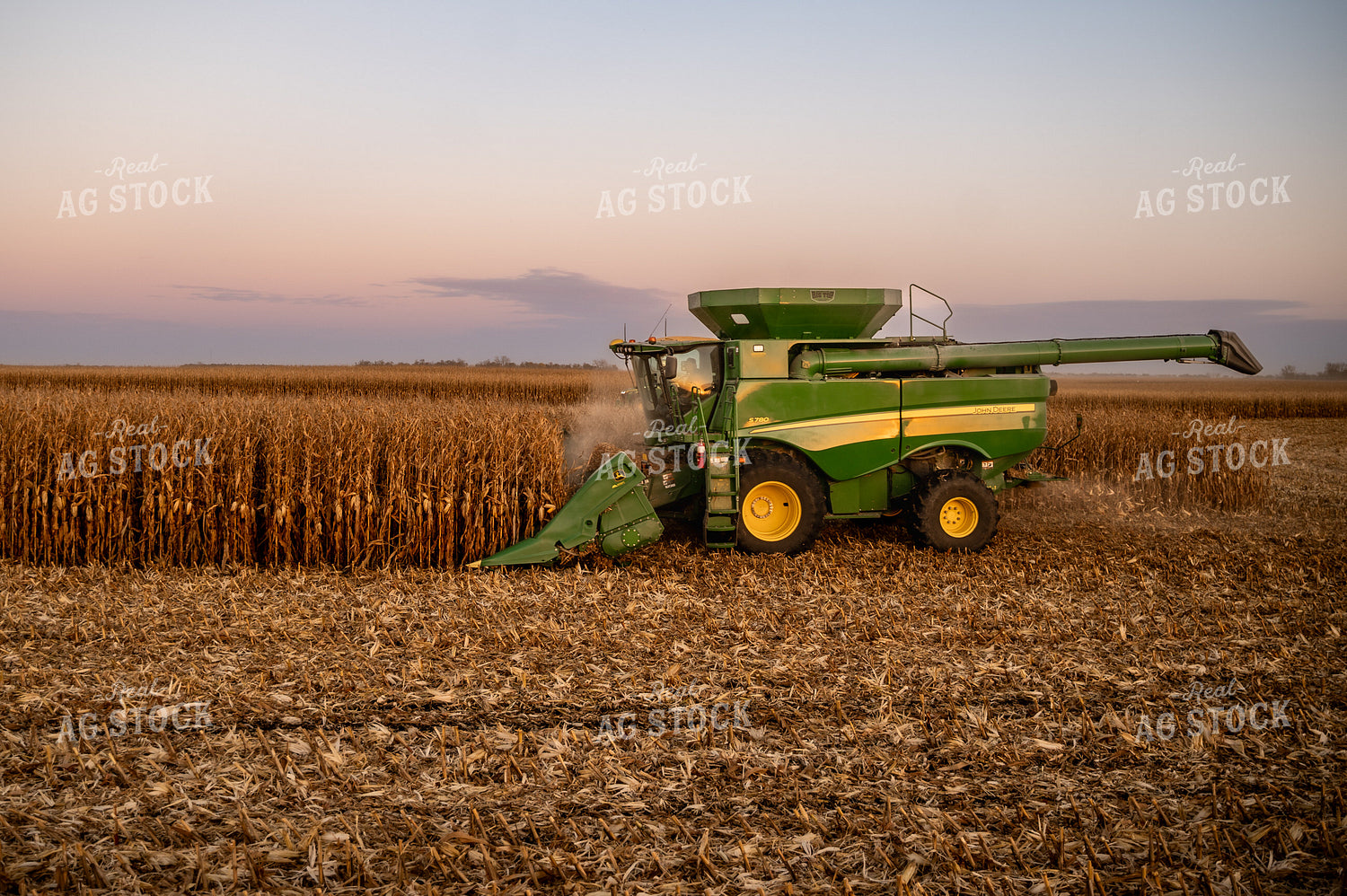 Corn Harvest 185121