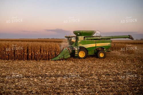 Corn Harvest 185121