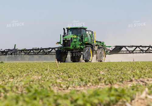 Spraying 79784
