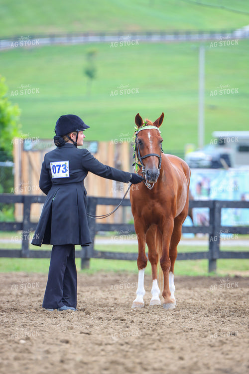 4H Kid Showing Horse 52200