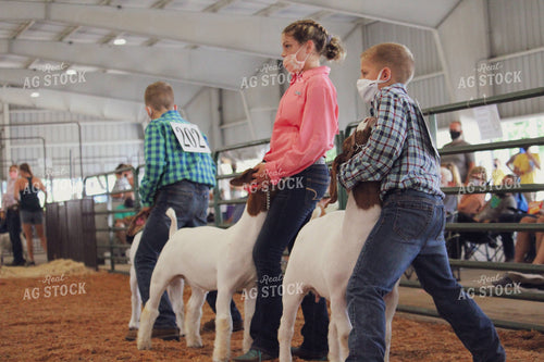 4H Goat Show with Masks 52037
