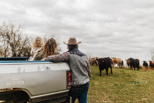 Farm Family Checking Cattle 115146
