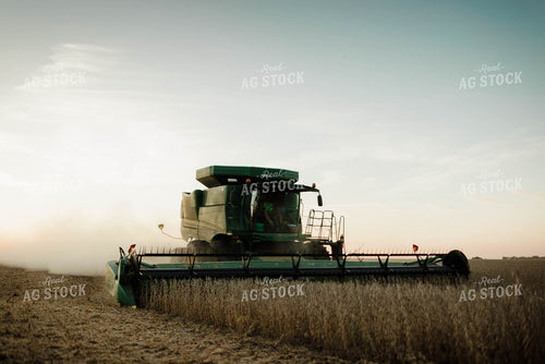 Soybean Harvest 8654