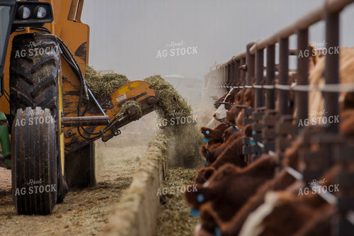 Feed Wagon Dispensing Feed 97071