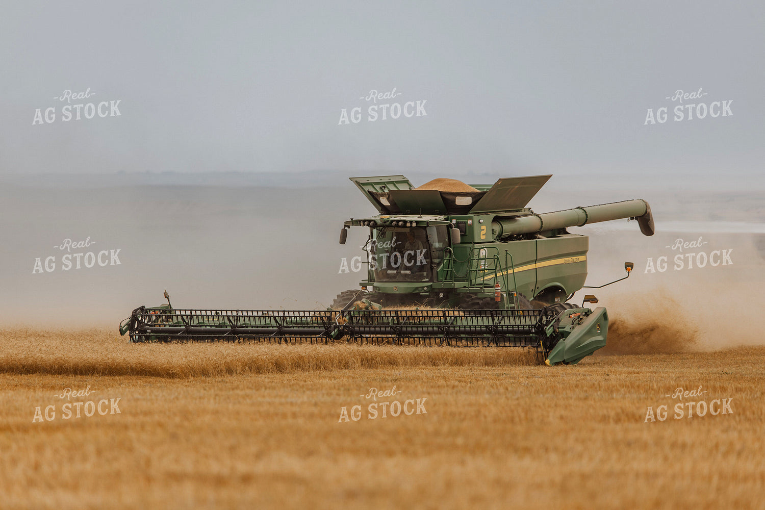 Wheat Harvest 187213