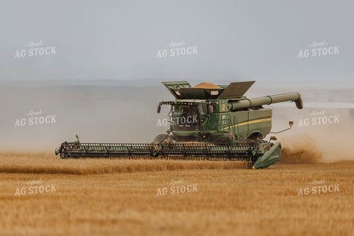 Wheat Harvest 187213