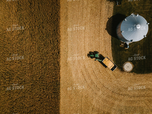 Overhead of Corn Harvest 4650