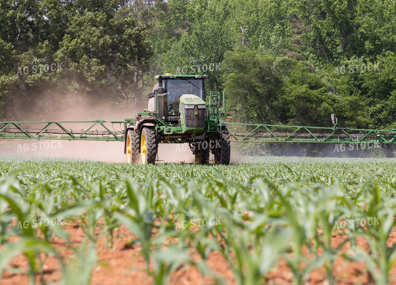 Spraying Corn Field 79876