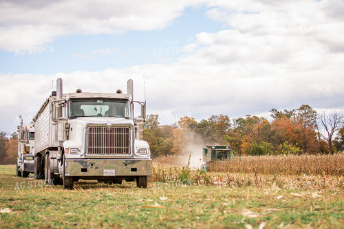 Corn Harvest 270640