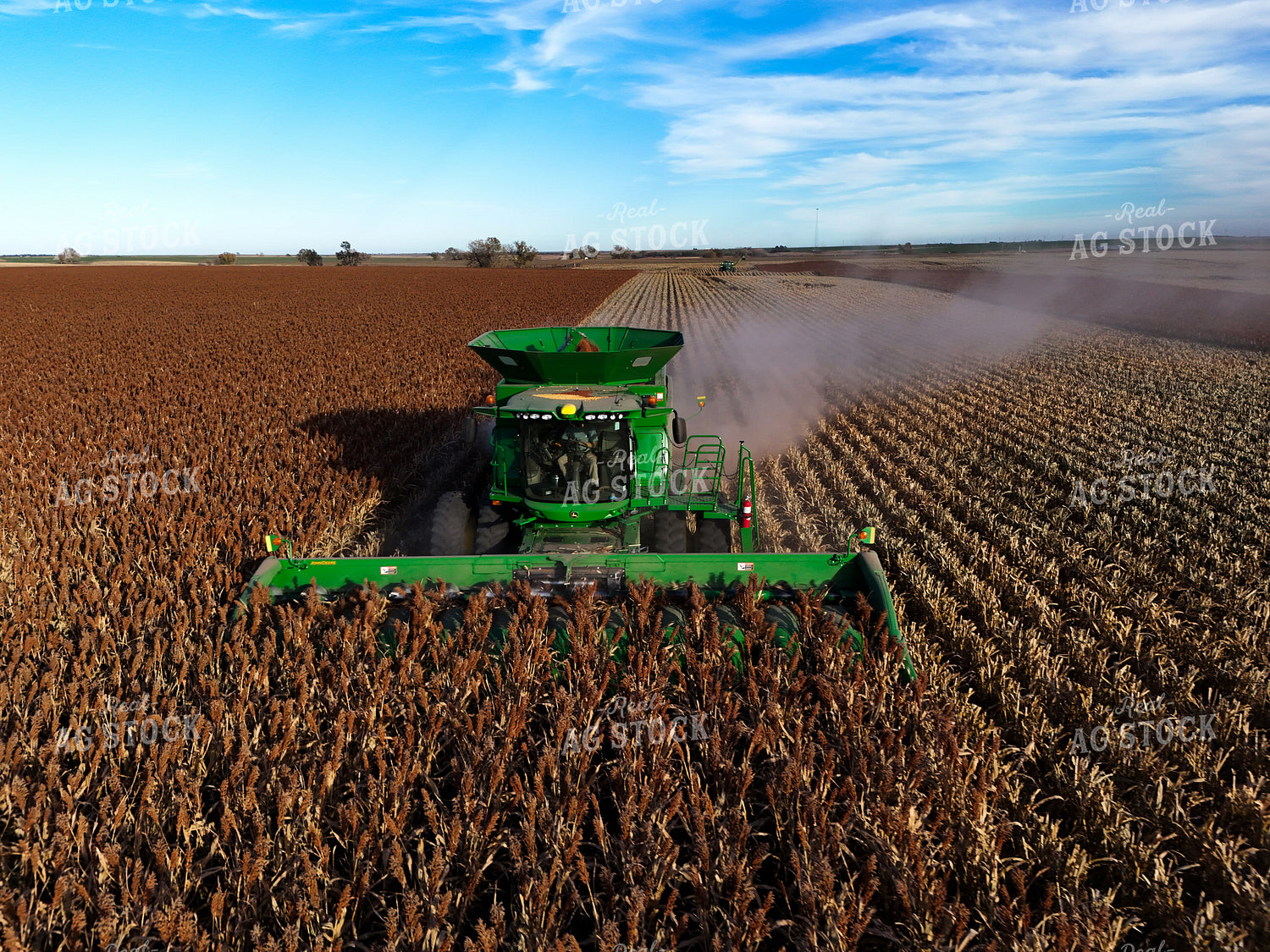 Milo Harvest 239416