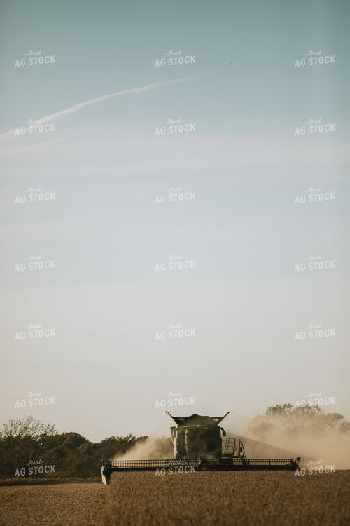 Soybean Harvest 7197