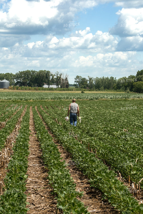 Farmer in Soybean Field 76205