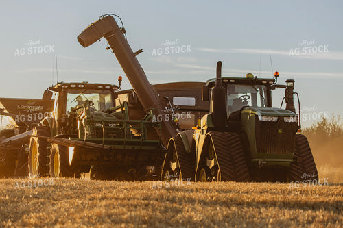 Wheat Harvest 187314