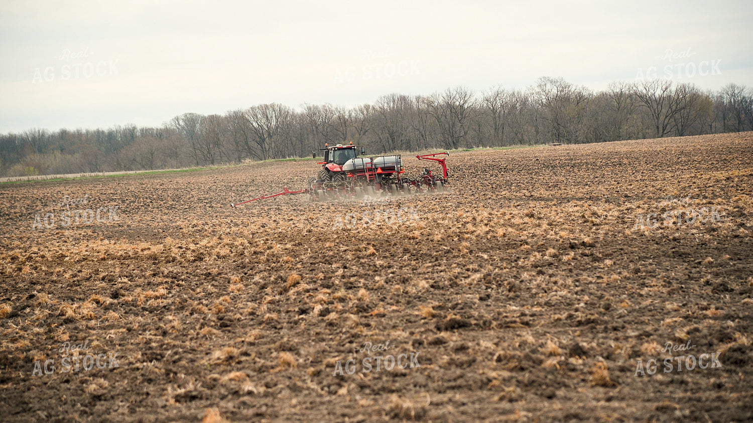Planting into Tilled Cover Crops 25014