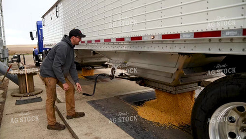 Farmer Unloading Corn from Hopper Bottom Semi to Grain Pit - 462