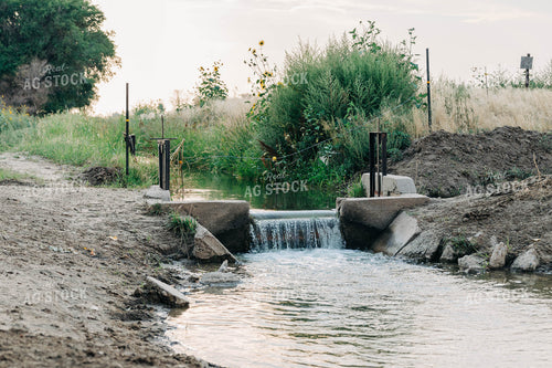 Ditch Irrigation 61031