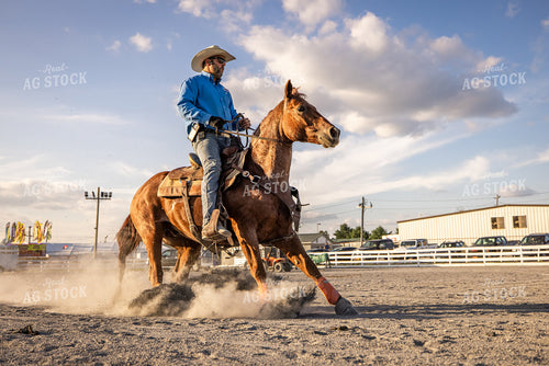 Equine Roping Show 270107