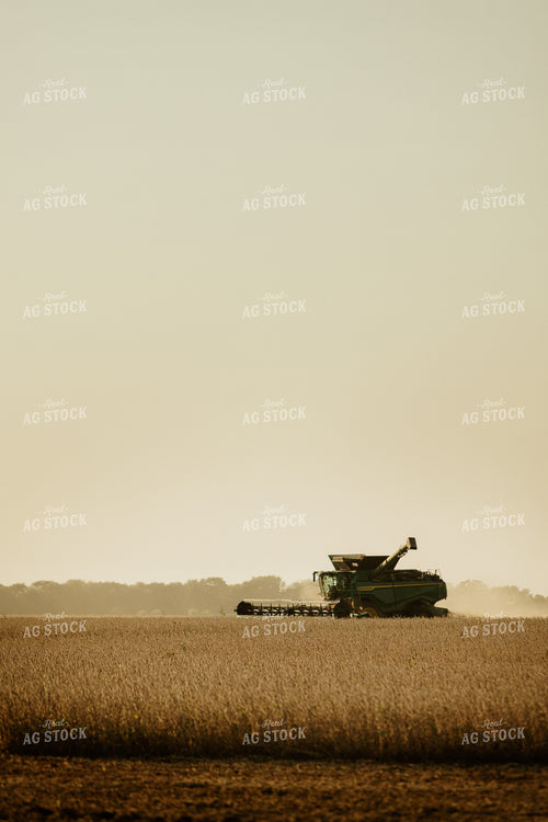 Soybean Harvest 9227