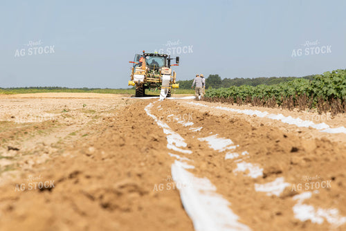 Laying Irrigation 79673