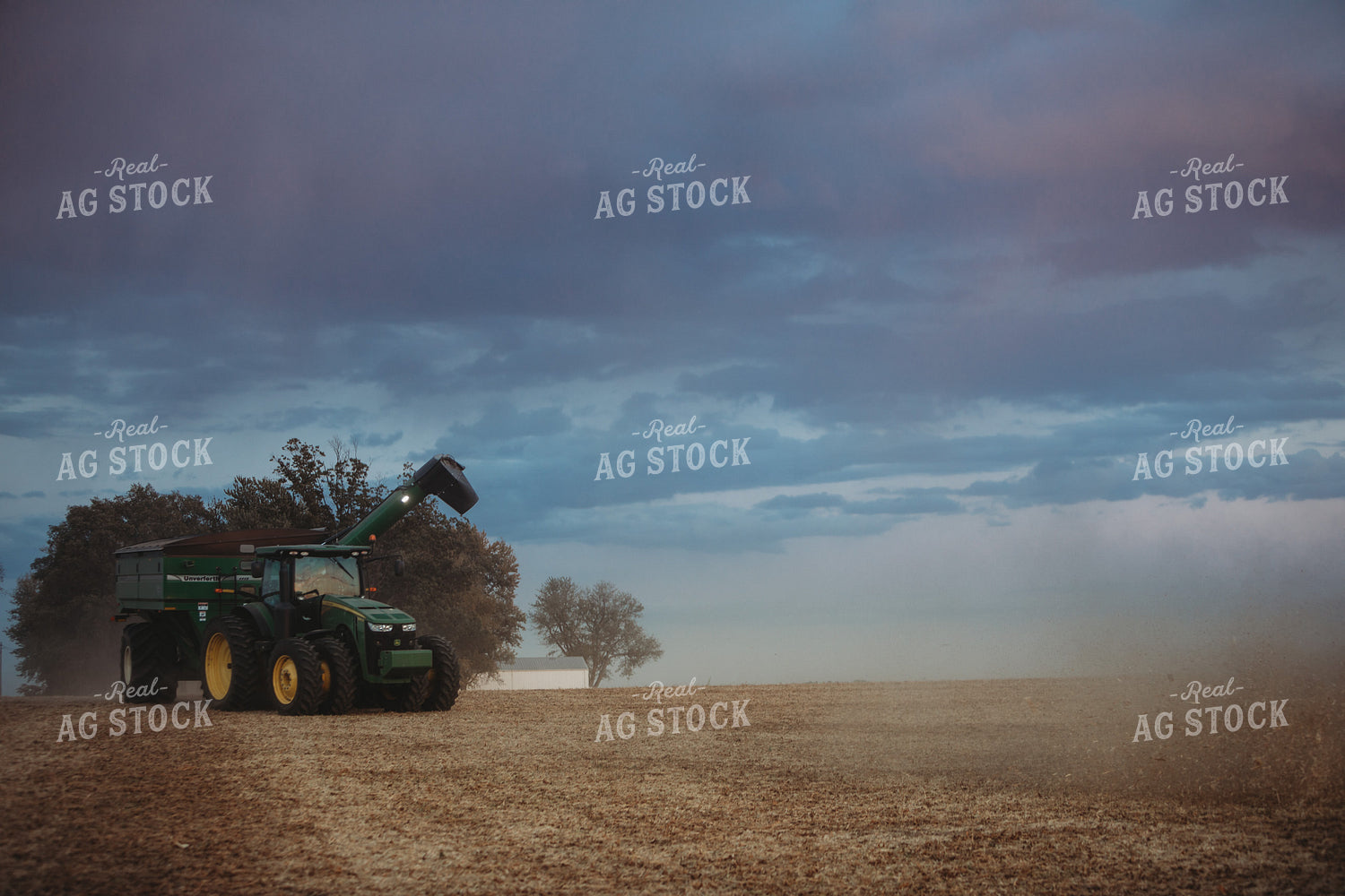 Grain Cart in Soybean Field at Dusk 3481