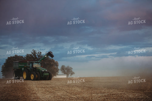 Grain Cart in Soybean Field at Dusk 3481