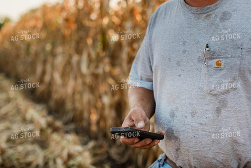 Farmers Using Phone 8296