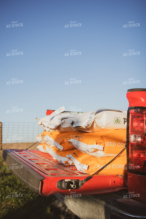 Seed Corn Bags 67703