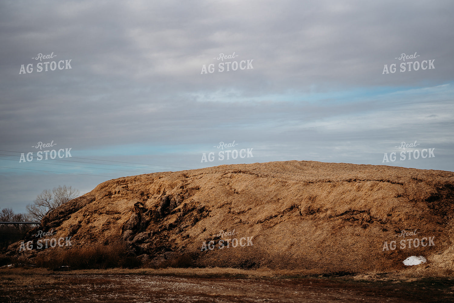 Uncovered Silage Pile 196185