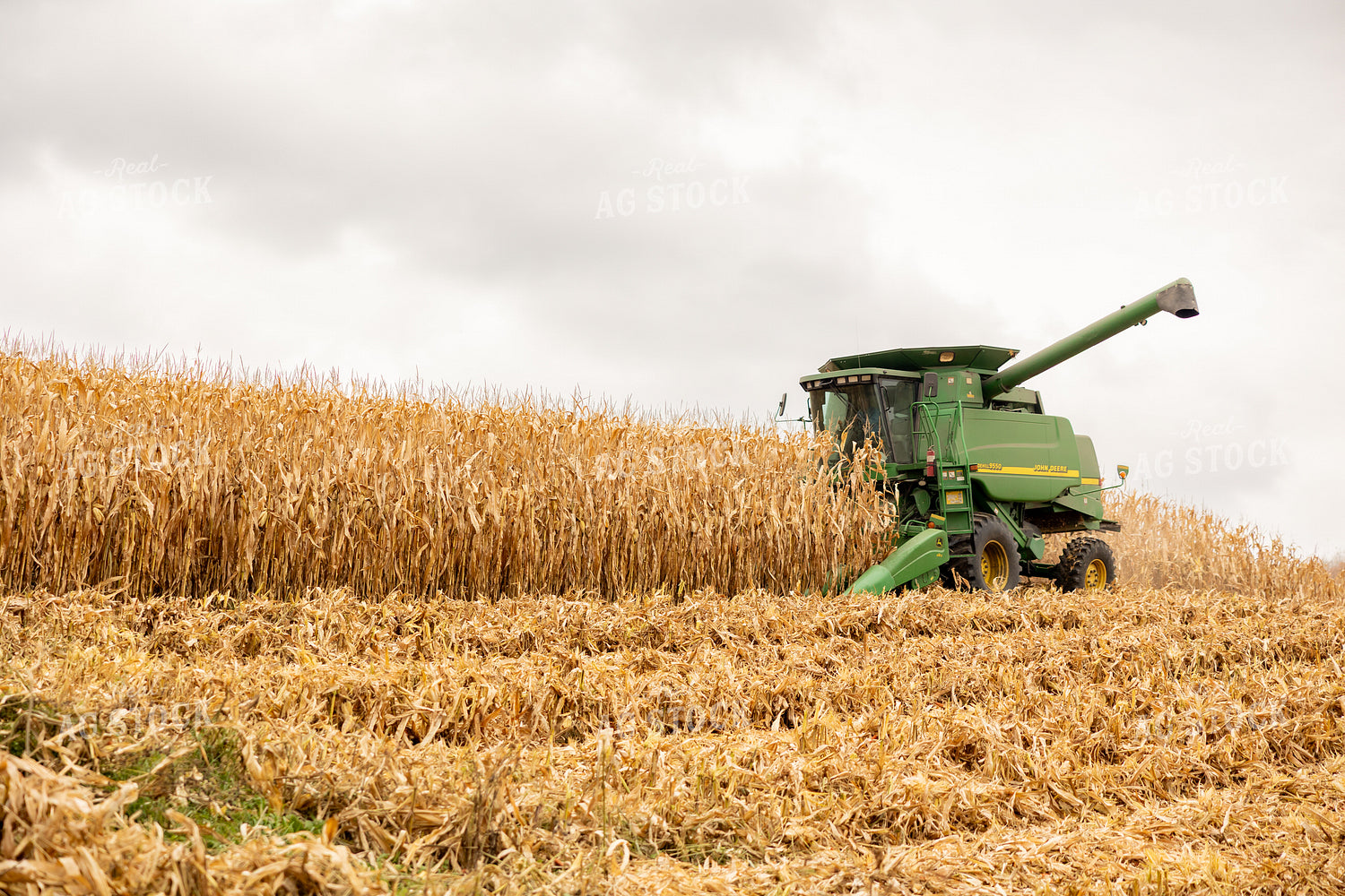 Corn Harvest 194083