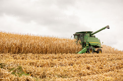 Corn Harvest 194083