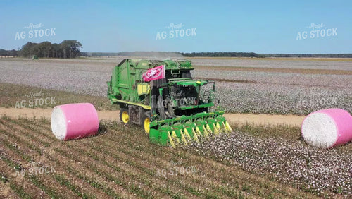 Cotton Harvest 79440