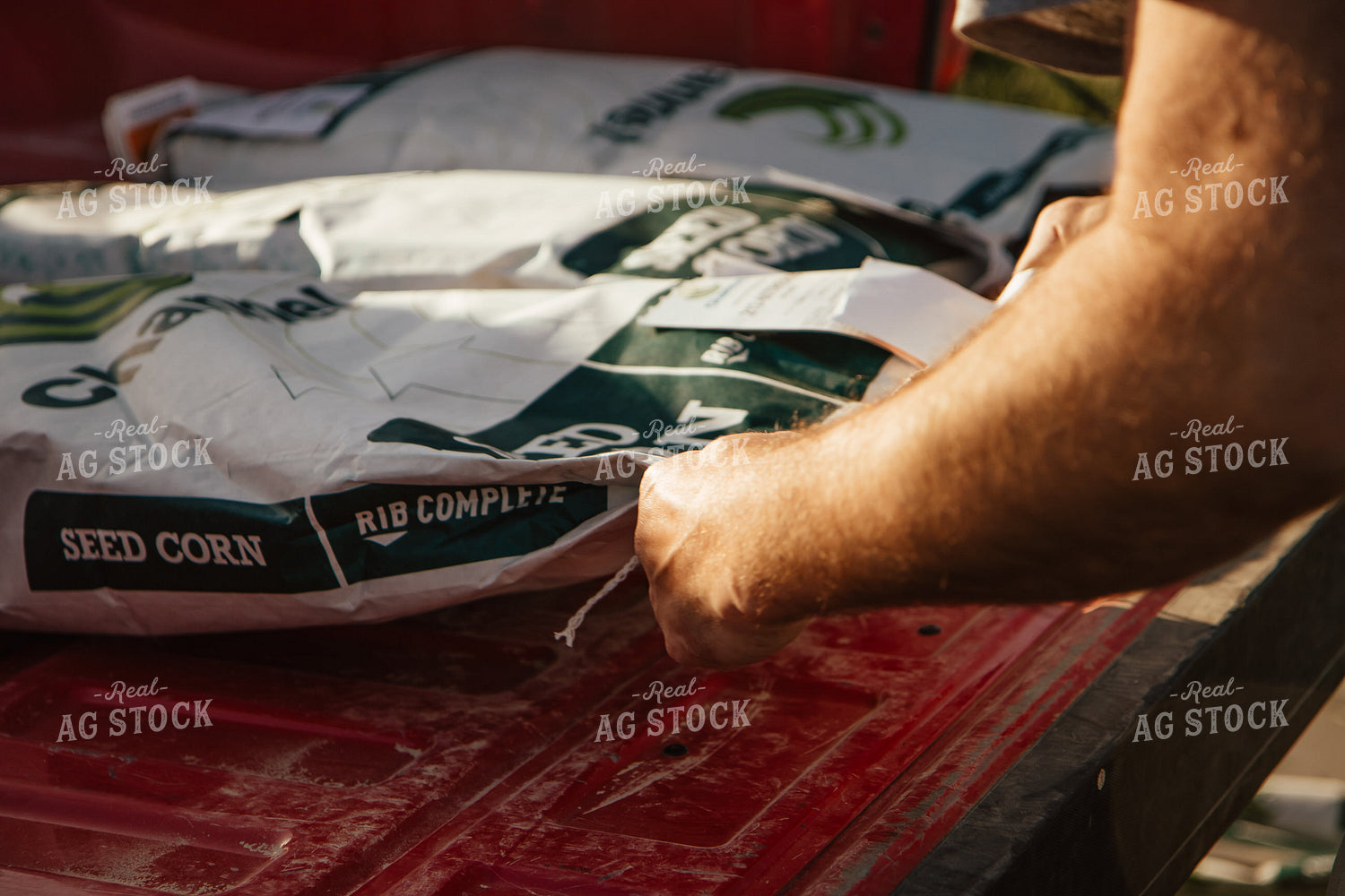 Seed Corn Bags 67559