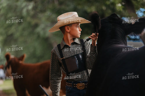 Showing Cattle 174024