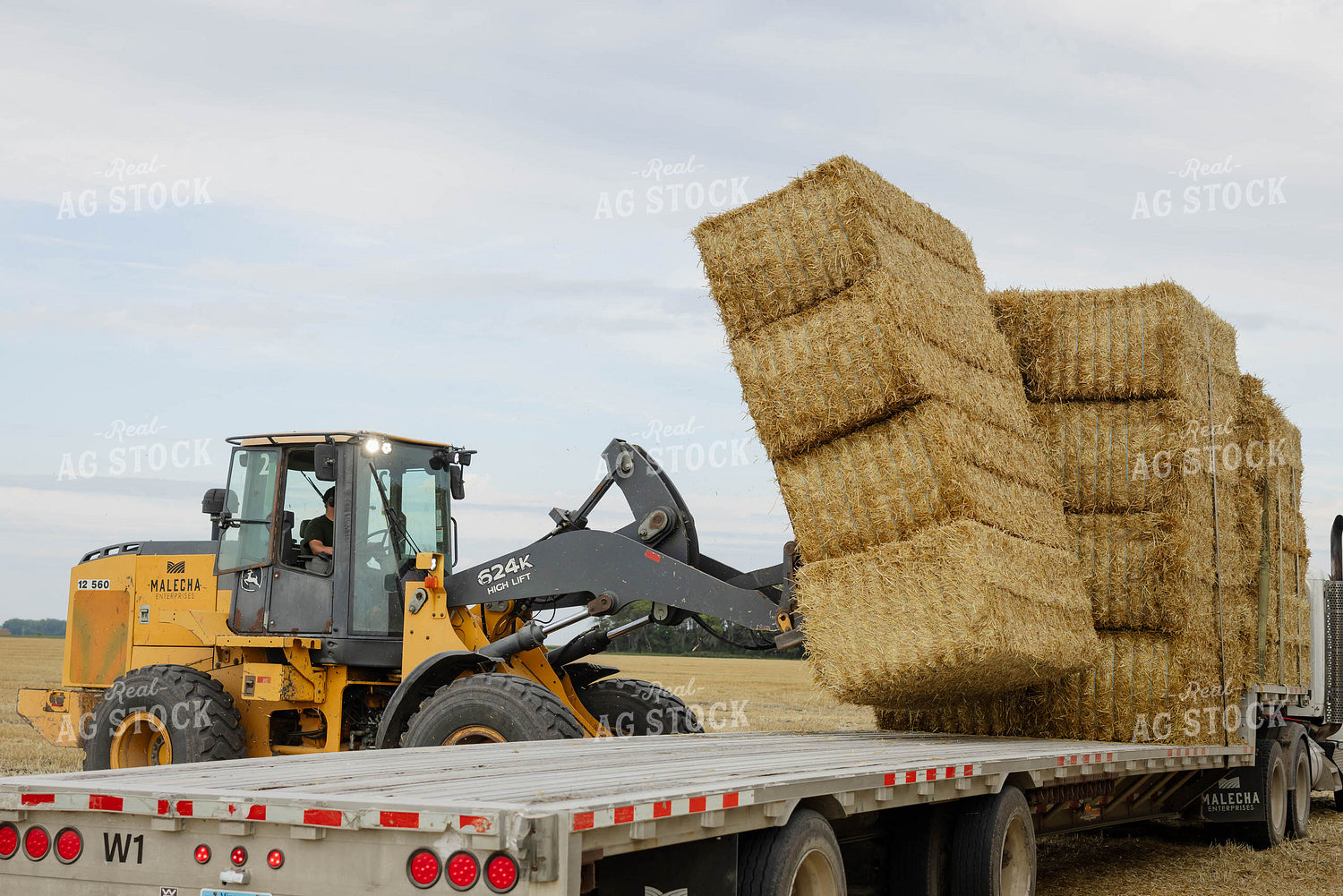 Loading Wheat Straw Bales 296076