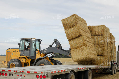 Loading Wheat Straw Bales 296076