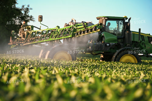 Spraying Soybeans 90121