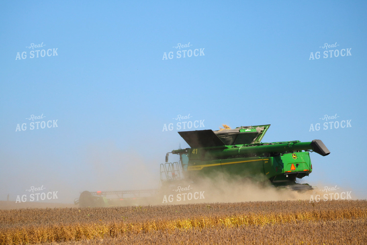 Soybean Harvest 82353