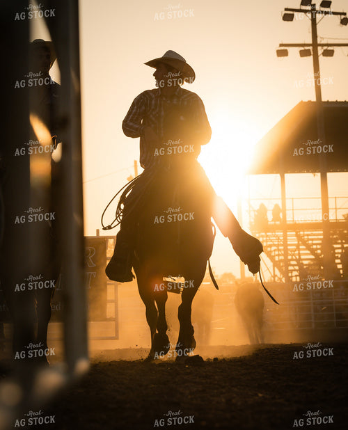 Rodeo 219128
