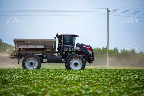 Spreading Dry Fertilizer in Cotton Field 136218