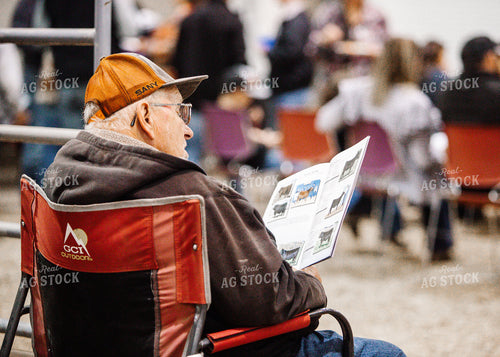 Watching a Cattle Show 171005
