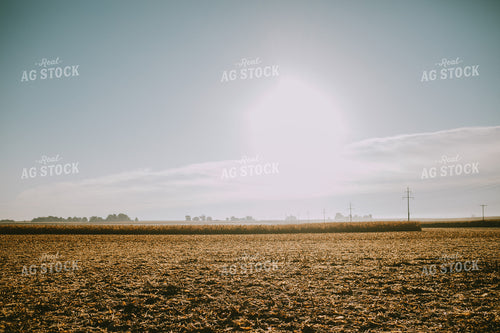 Partially Harvested Corn Field 4653