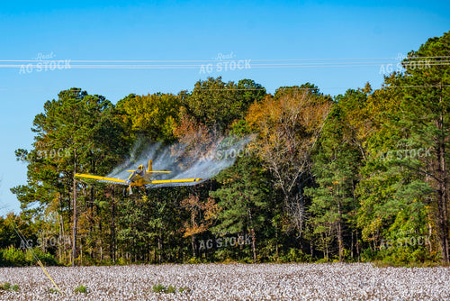 Crop Duster Spraying Cotton Field 136269