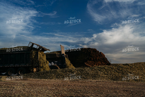 Unloading Harvested Silage 196368