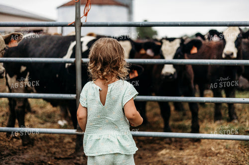 Farm Kid Looking at Cattle in Pen 281045