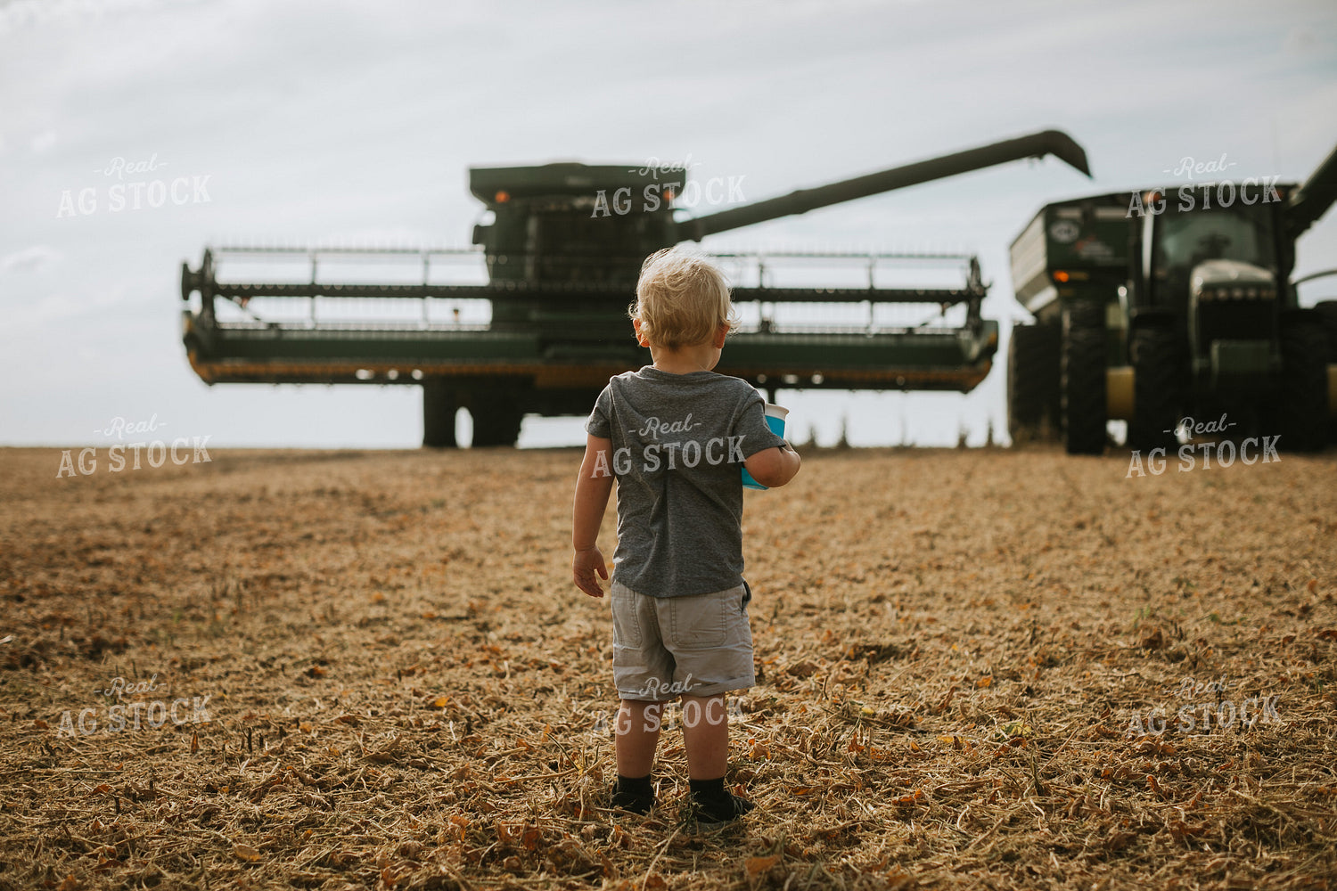 Farm Kid Tractor and Combine in Soybean Field 5242