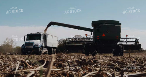 Combine Unloading Beans into Tandem Truck 3944