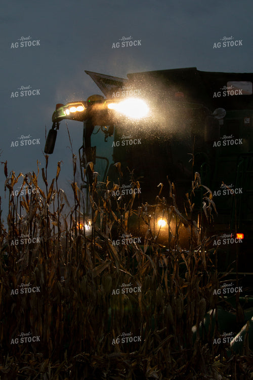 Corn Harvest 157169