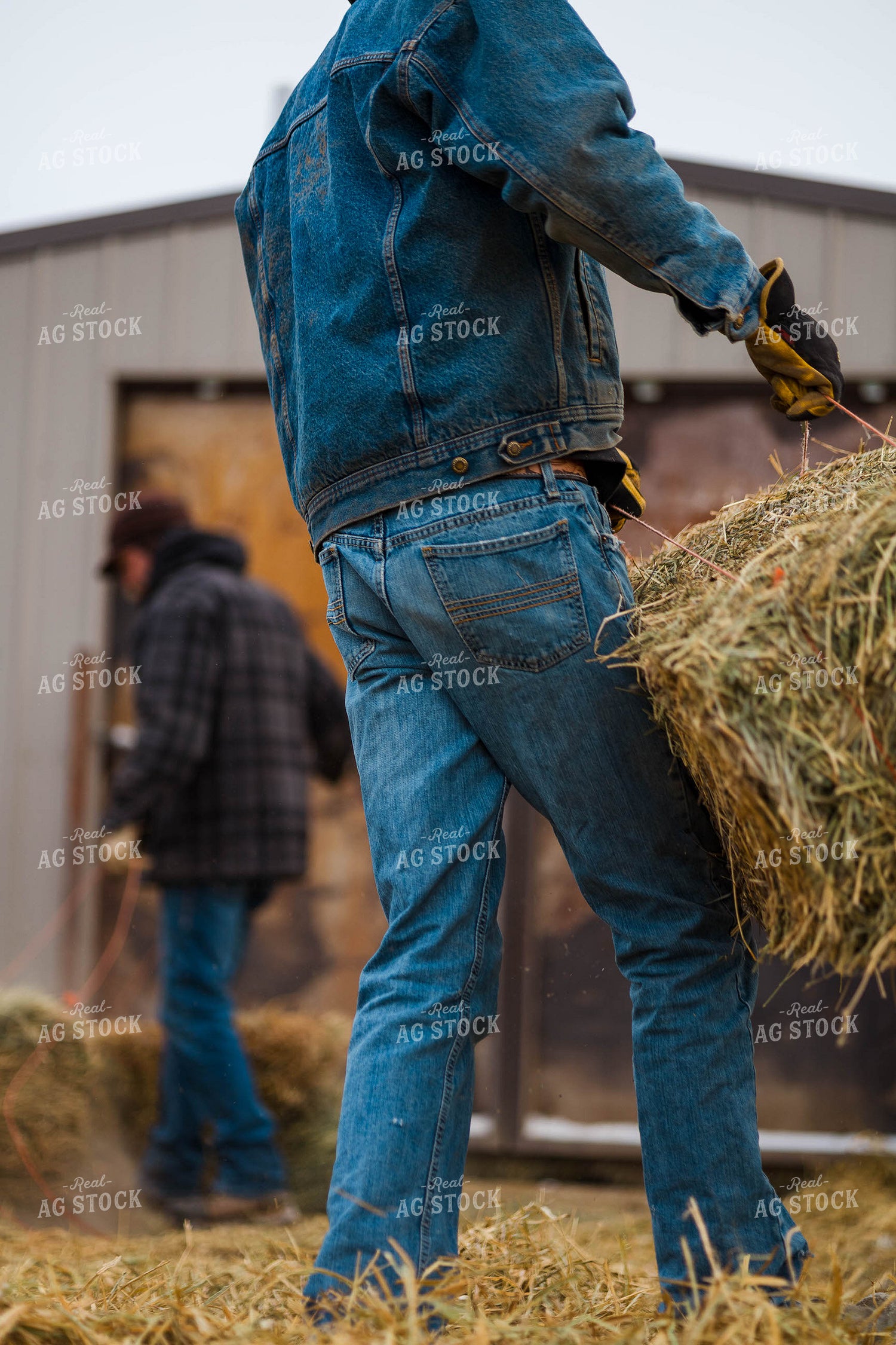 Cattlemen Moving Small Bales 97254